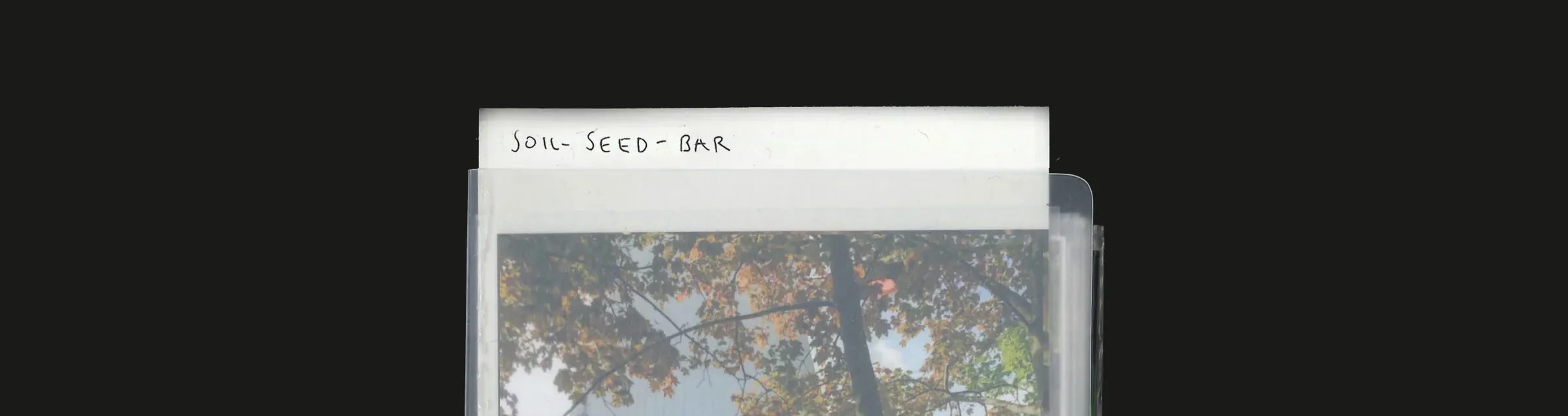 Soil-Seed-Bar